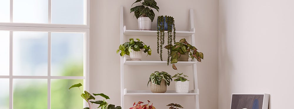 Shelving